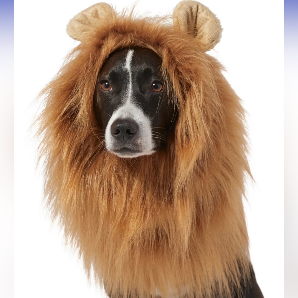 Frisco by Chewy Lion Mane Dog Costume, Large